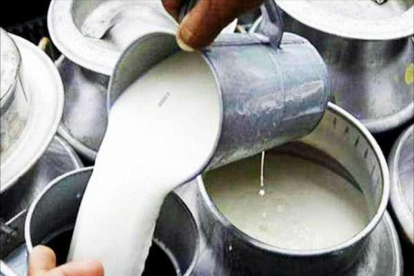 दूध बेचेर करोडौँ रुपैयाँ गाउँ भित्र्याउँदै किसान
